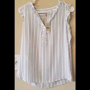 Blue Striped Anne Taylor Loft Top
